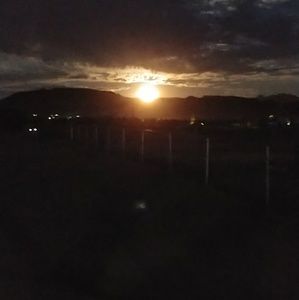 Meet your Posher, Bradley